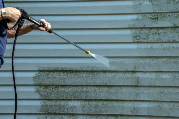 Best Affordable Pressure Washing  in Rushville, NE