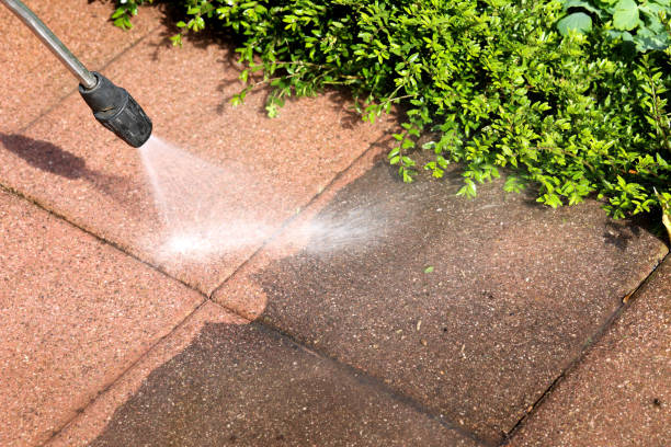 Best Pressure Washing Services Near Me  in Rushville, NE